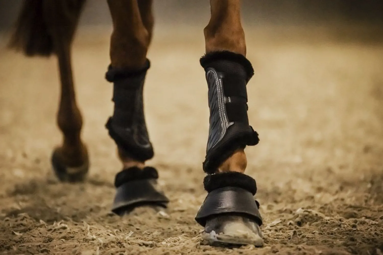 STUBBEN N.A. Stübben Airflow Fleece-Lined Brushing Boots Discount