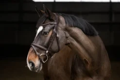 STUBBEN N.A. Stübben Pro Jump Bridle with Removable Flash Noseband Best