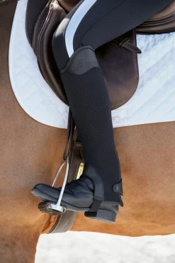 TEXT HORSE Stride™ Ladies’ Coolmesh Half Chaps Best