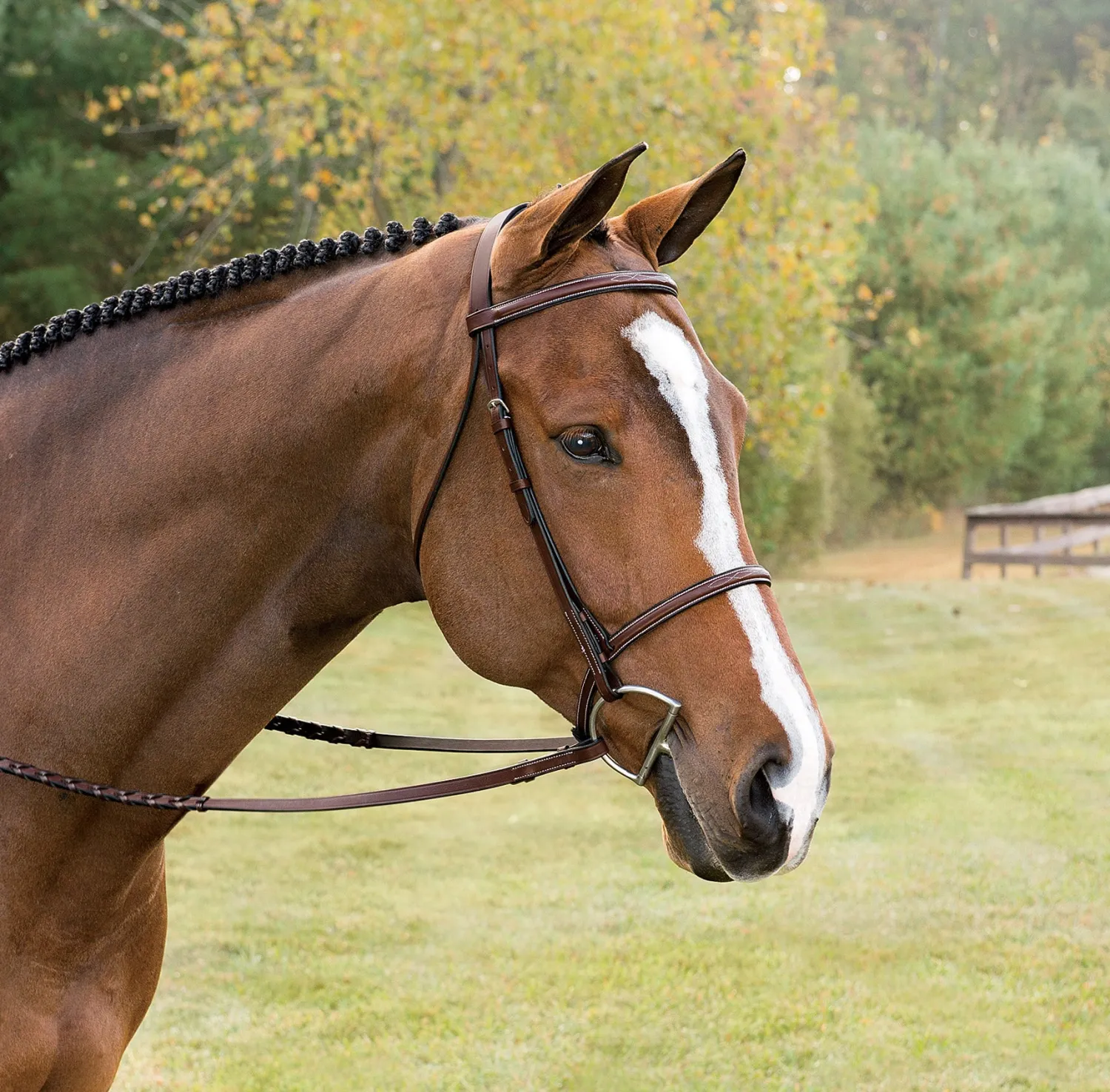 KINGS INTERNATIONAL Suffolk™ Classic Hunter Bridle Brown Sale