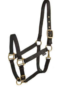 TEXT HORSE Suffolk™ Heavy Nylon Breakaway Halter with Fuse Outlet