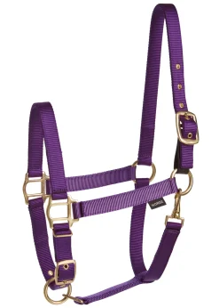 TEXT HORSE Suffolk™ Heavy Nylon Breakaway Halter with Fuse Outlet