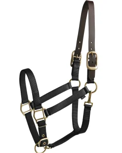 TEXT HORSE Suffolk™ Heavy Nylon Halter with Breakaway Crown Sale