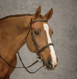 KINGS INTERNATIONAL Suffolk™ Hunter Bridle Oakbark Hot