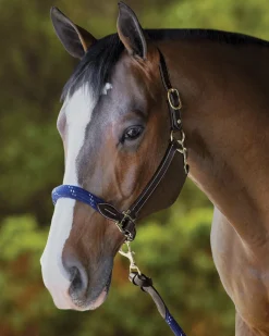 PUSHKAR INTL Suffolk™ Leather & Rope Halter with Lead Discount