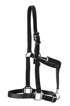 TEXT HORSE Suffolk™ Nylon Breakaway Halter New