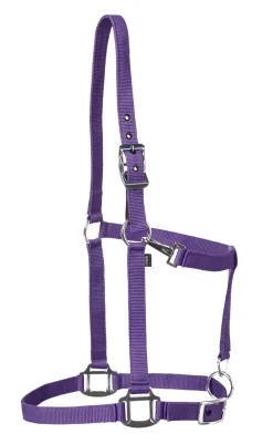 TEXT HORSE Suffolk™ Nylon Breakaway Halter New