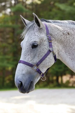 TEXT HORSE Suffolk™ Nylon Breakaway Halter New