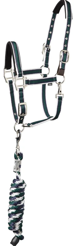 TEXT HORSE Suffolk™ Padded Striped Breakaway Halter & Lead New