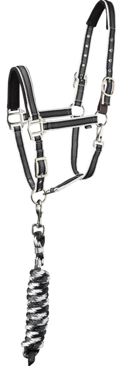 TEXT HORSE Suffolk™ Padded Striped Breakaway Halter & Lead New