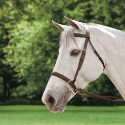 KINGS INTERNATIONAL Suffolk™ Plain Raised Bridle Brown Best