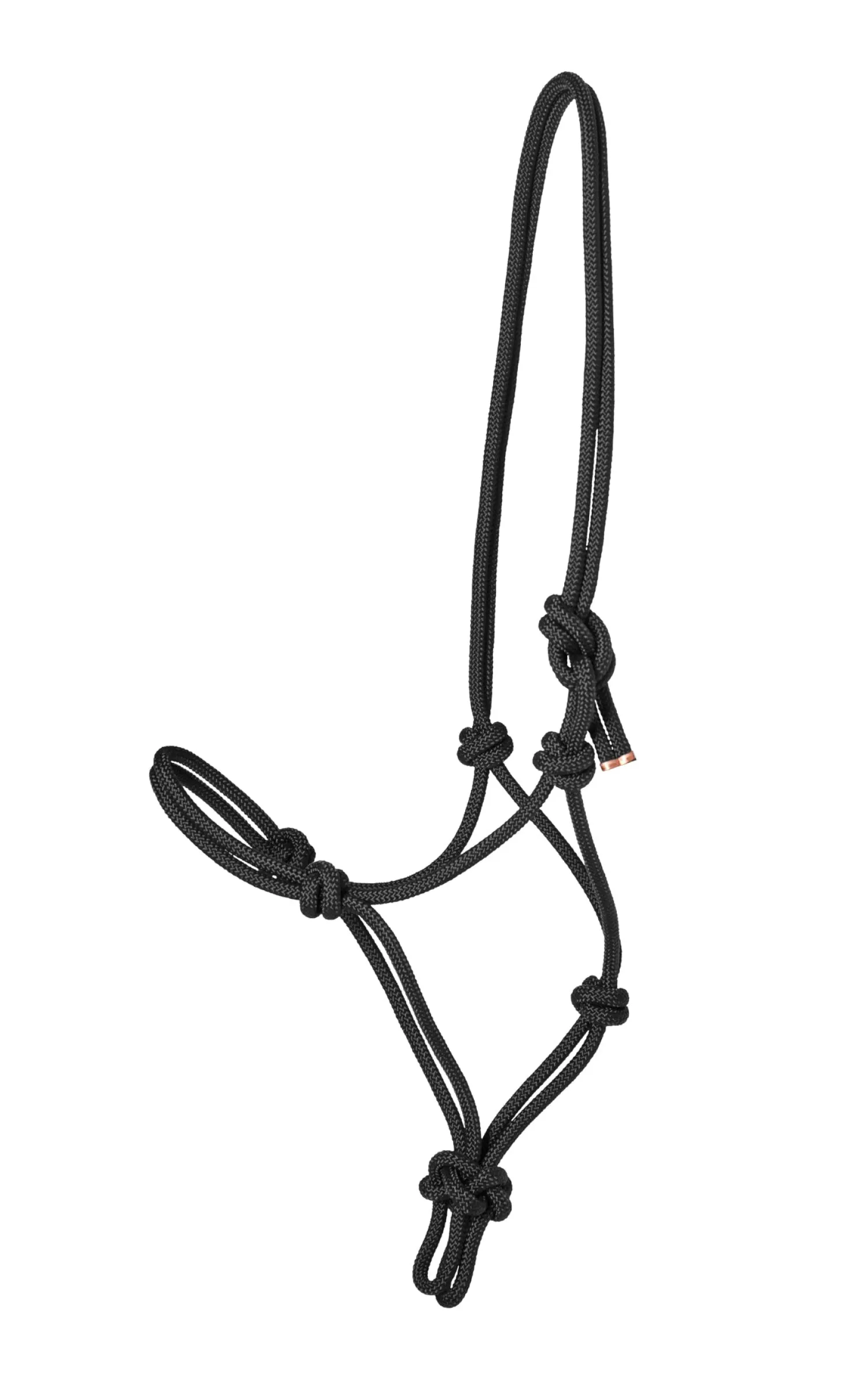 TEXT HORSE Suffolk™ Rope Halter with Lead Sale