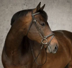 KINGS INTERNATIONAL Suffolk™ Single Crown Flash Bridle Brown