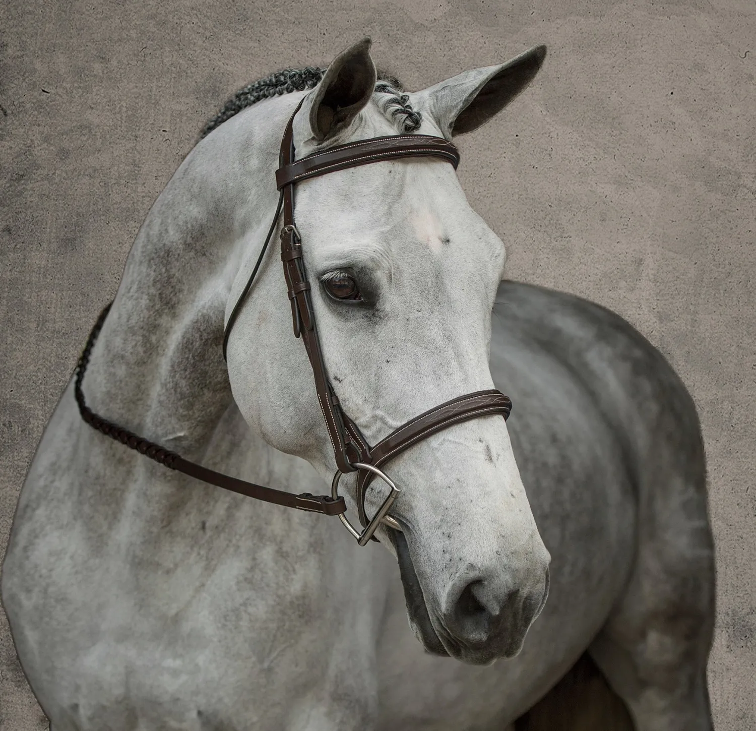 KINGS INTERNATIONAL Suffolk™ Single Crown Hunter Bridle Oakbark Clearance