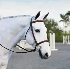 KINGS INTERNATIONAL Suffolk™ Single Crown Hunter Bridle Oakbark Clearance