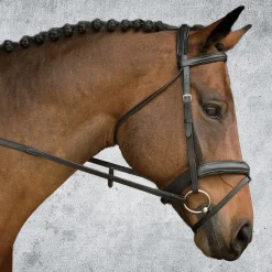 KINGS INTERNATIONAL Suffolk™ Single Crown Padded Dressage Bridle Hot