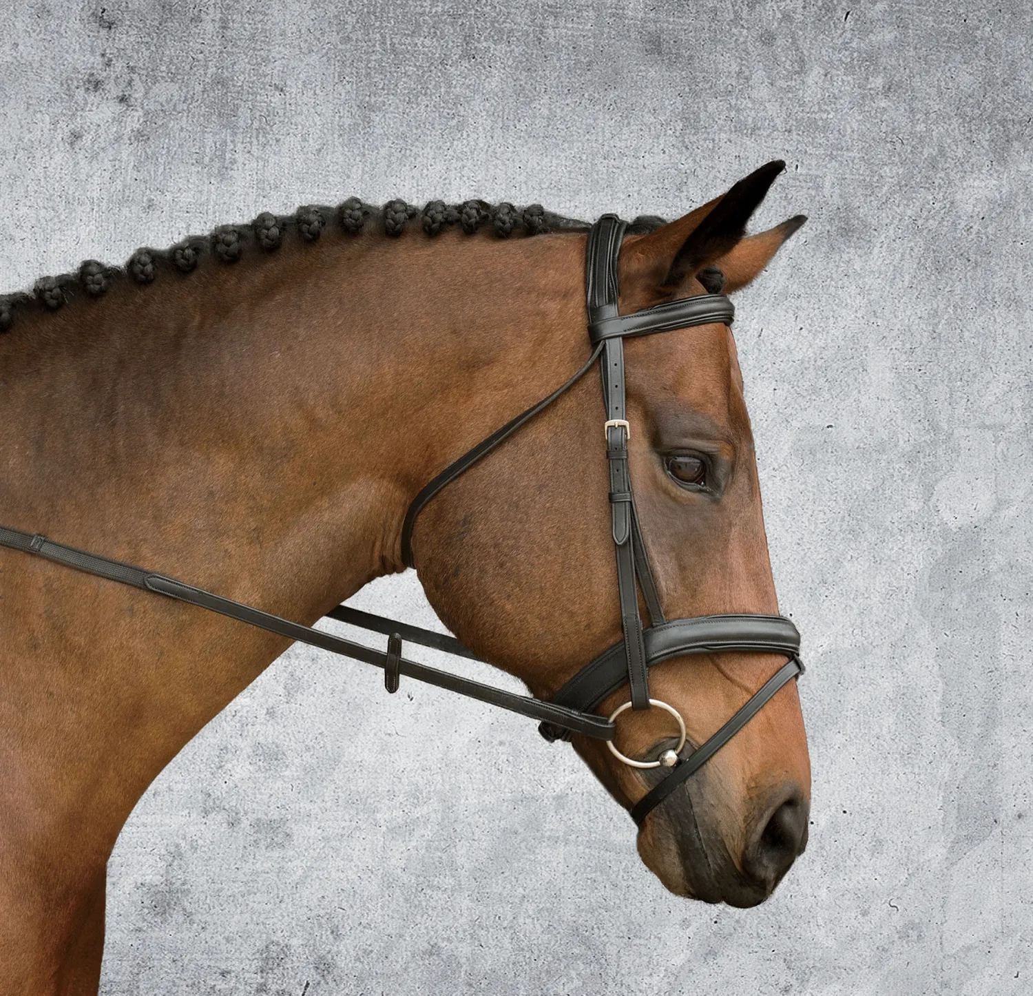 KINGS INTERNATIONAL Suffolk™ Single Crown Padded Dressage Bridle Hot