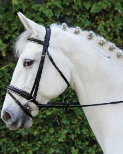 KINGS INTERNATIONAL Suffolk™ Single Crown Padded Dressage Bridle Hot