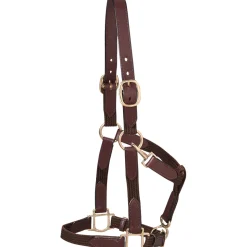 KINGS INTERNATIONAL Suffolk™ Web Halter Clearance