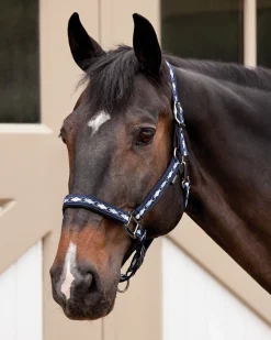 TEXT HORSE Suffolk™ Woven Argyle Breakaway Halter Outlet