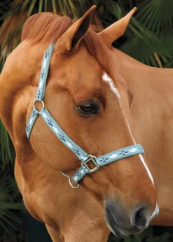 TEXT HORSE Suffolk™ Woven Argyle Breakaway Halter Outlet