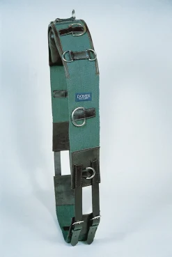 KINGS INTERNATIONAL Suffolk™ Classic Web Training Surcingle Outlet