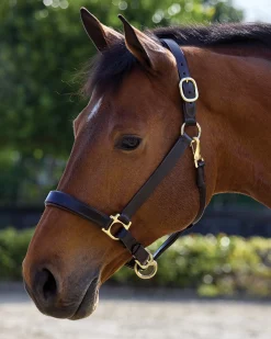 PUSHKAR INTL Suffolk™ Everyday Halter Discount