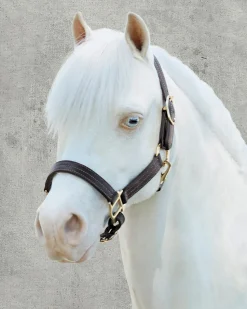 PUSHKAR INTL Suffolk™ Palermo Triple-Stitched Halter Chocolate New