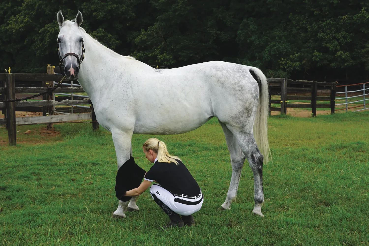 STERLING CREEK Supa Towel Black Best