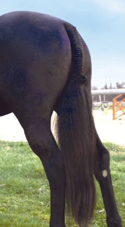 PROFESSIONALS CHOICE Tail Tamer® Hunter Trophy Tails™ Discount