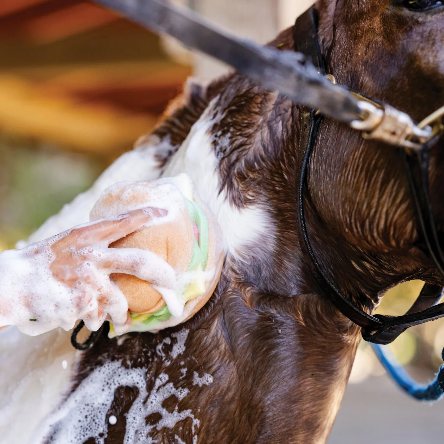 DREAMERS N SCHEMERS The Tack Hack Burger Body Sponge Mixed New