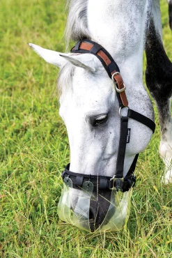 THINLINE ® Flexible Filly Slow Feed Grazing Muzzle 2.5+cm Clear Discount