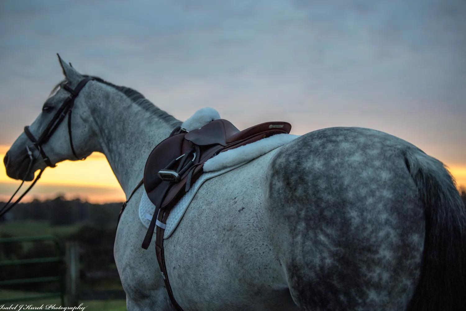 THINLINE ® Sheepskin Comfort Half Pad Outlet