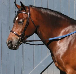 TORY LEATHER Company Padded English Bridle Sale