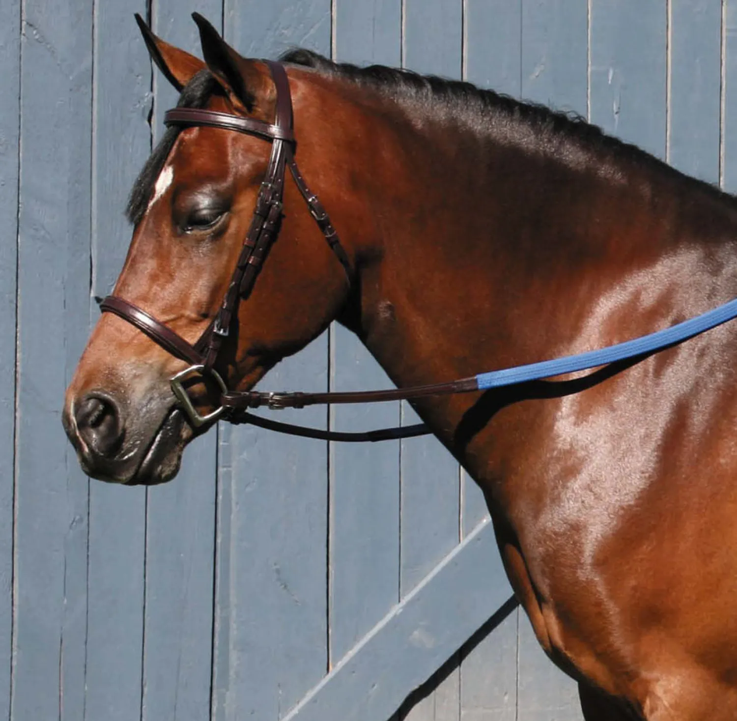 TORY LEATHER Company Padded English Bridle Sale