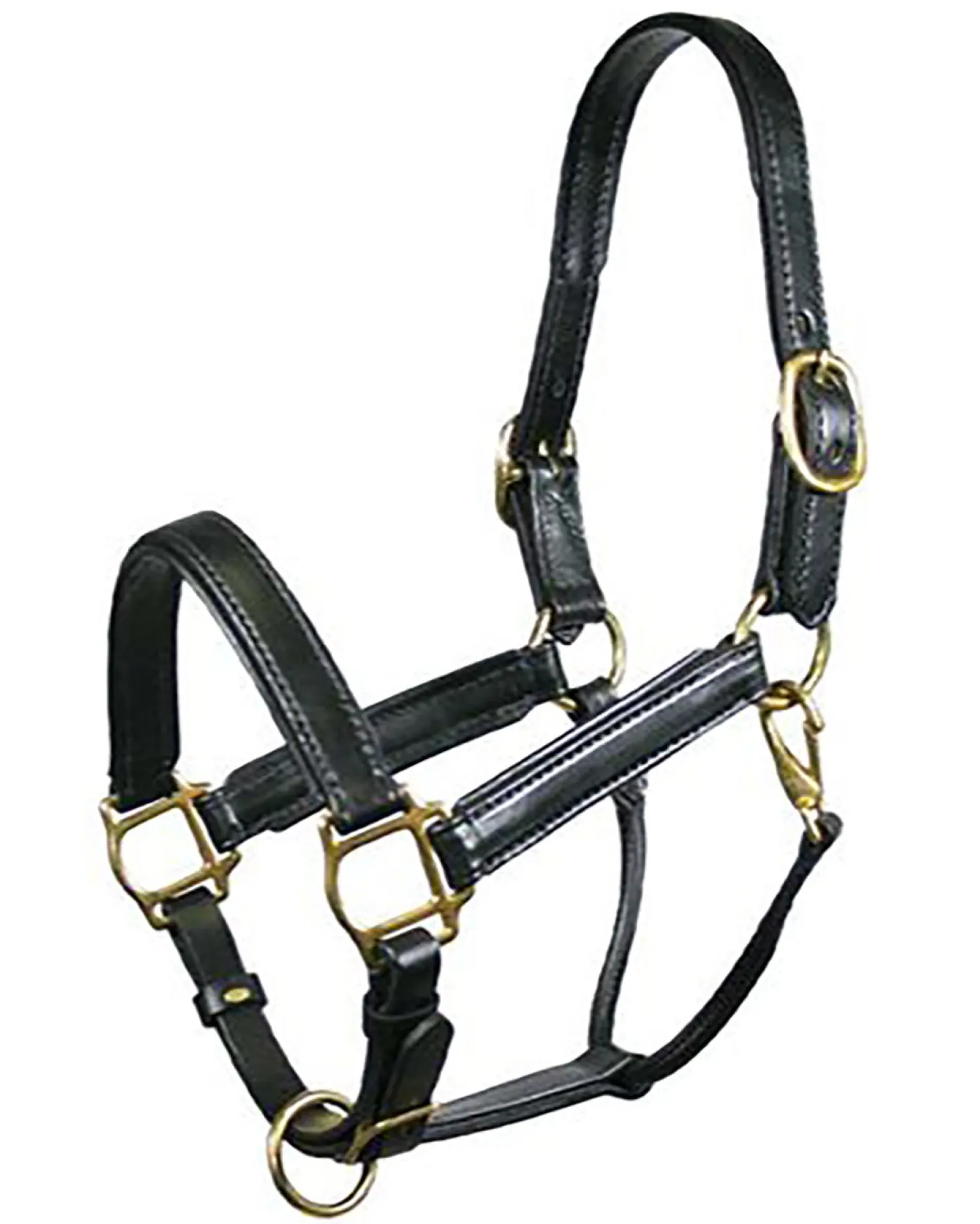 TORY LEATHER Company Padded Leather Halter Sale