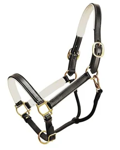 TORY LEATHER Company Padded Leather Halter Sale