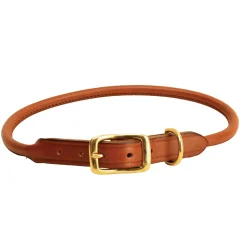 TORY LEATHER Rolled Leather Dog Collar Discount