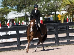 TREDSTEP-CLOTHING Tredstep™ Solo Showtime Show Coat Discount