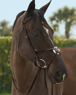 KINGS INTERNATIONAL TRU-Fit™ Build-A-Bridle™ Figure-8 Noseband Chocolate