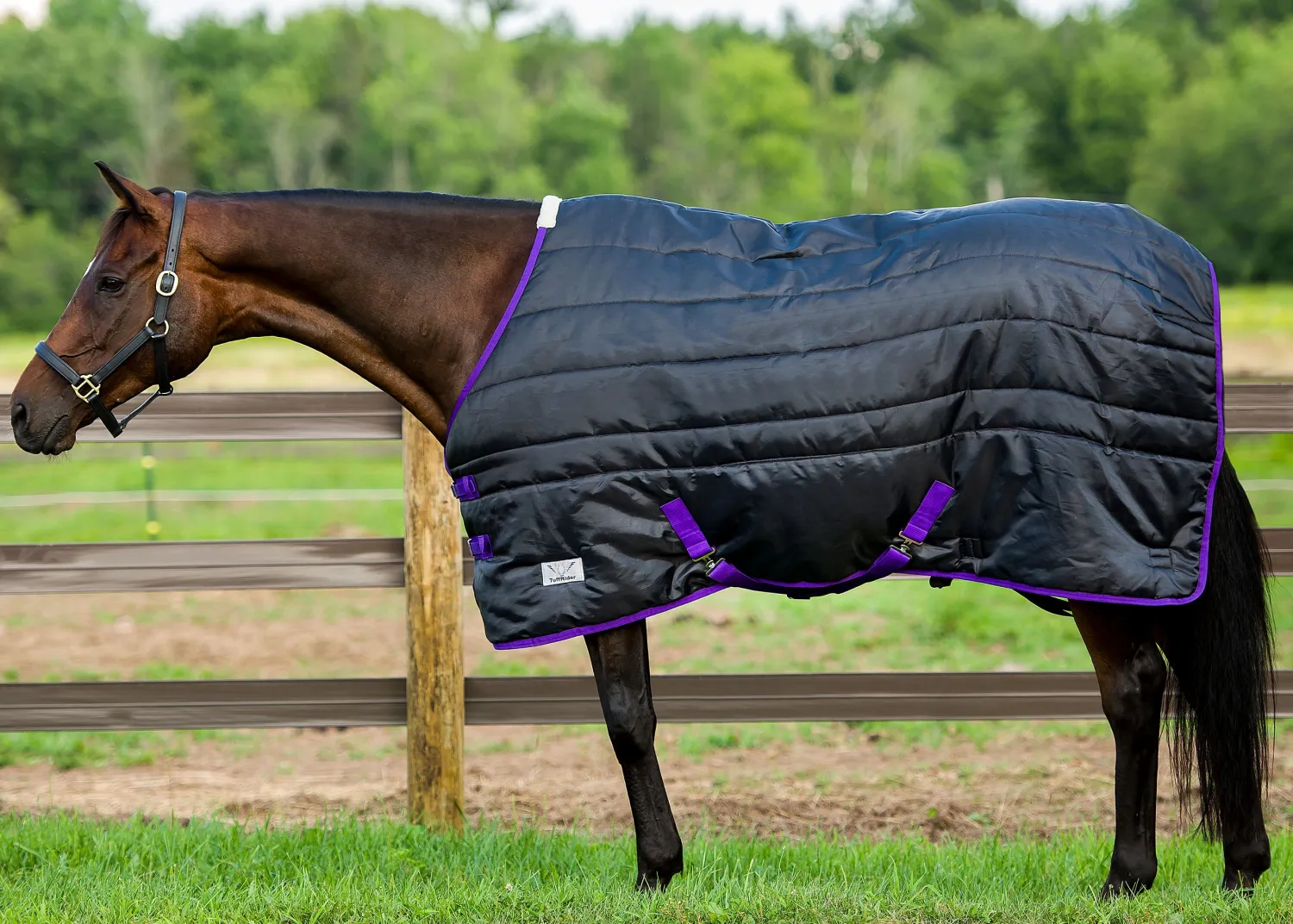 JPC EQUESTRIAN TuffRider® Kozy Komfort Stable Blanket Discount