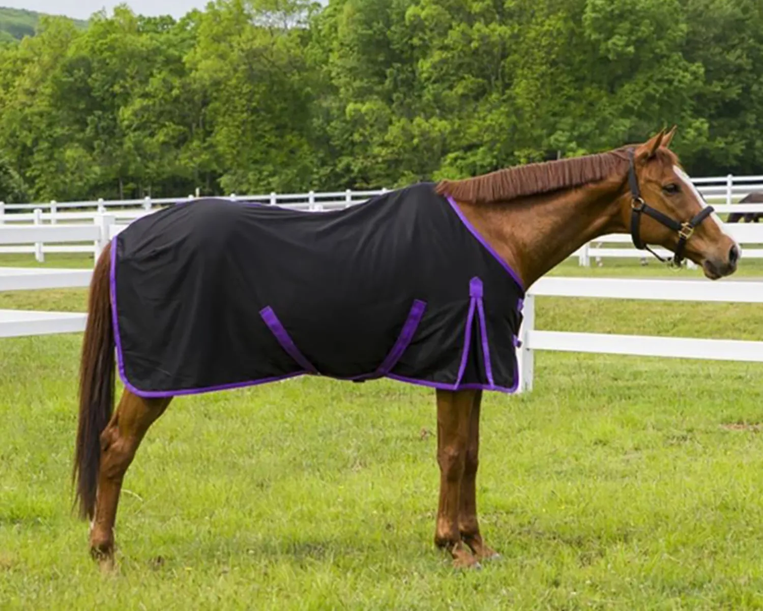 JPC EQUESTRIAN TuffRider® Kozy Komfort Stable Sheet Outlet