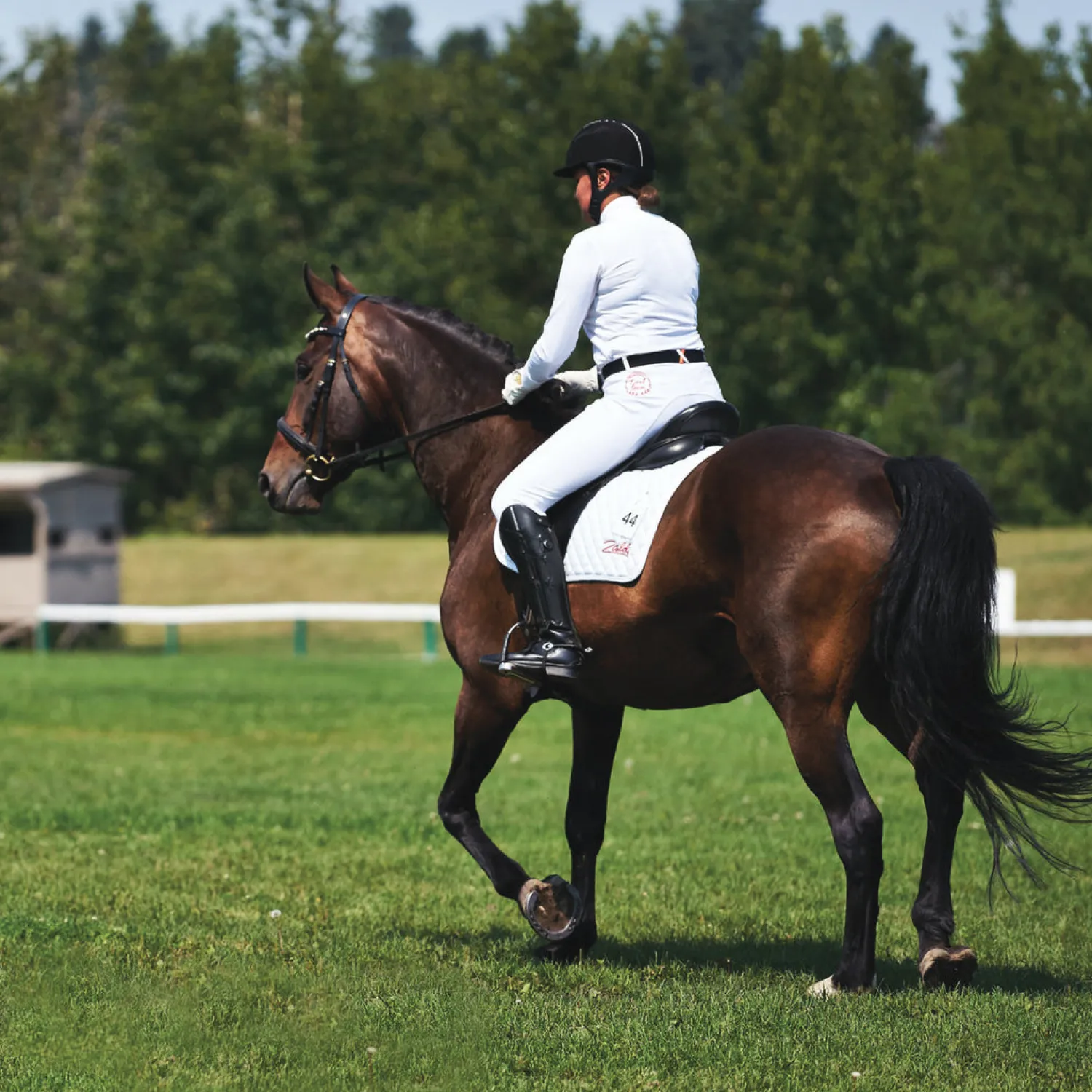 UNBELTS Unbelt Online