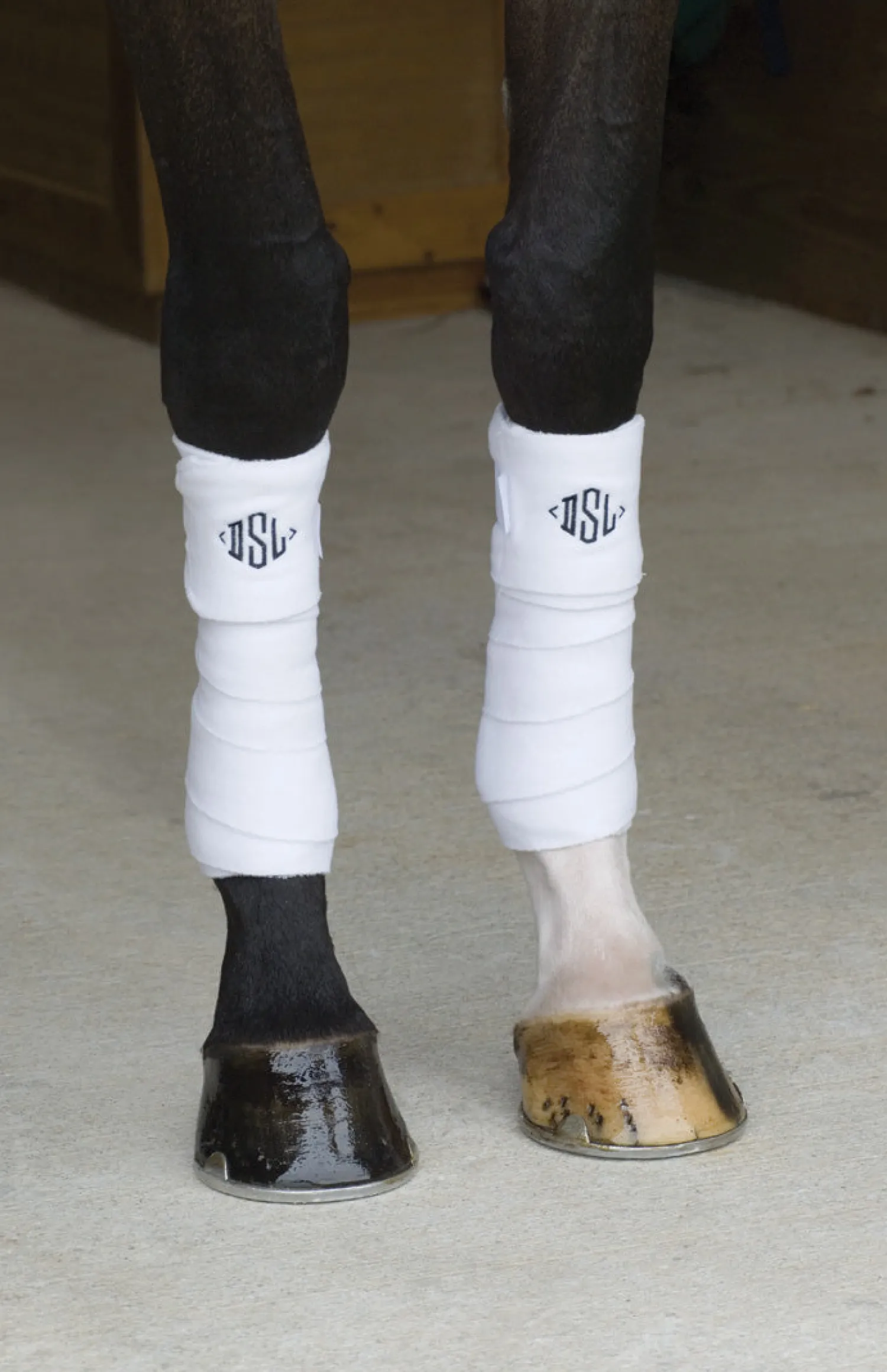 VAC S BANDAGE CO Vac’s Pony Polo Bandages Best