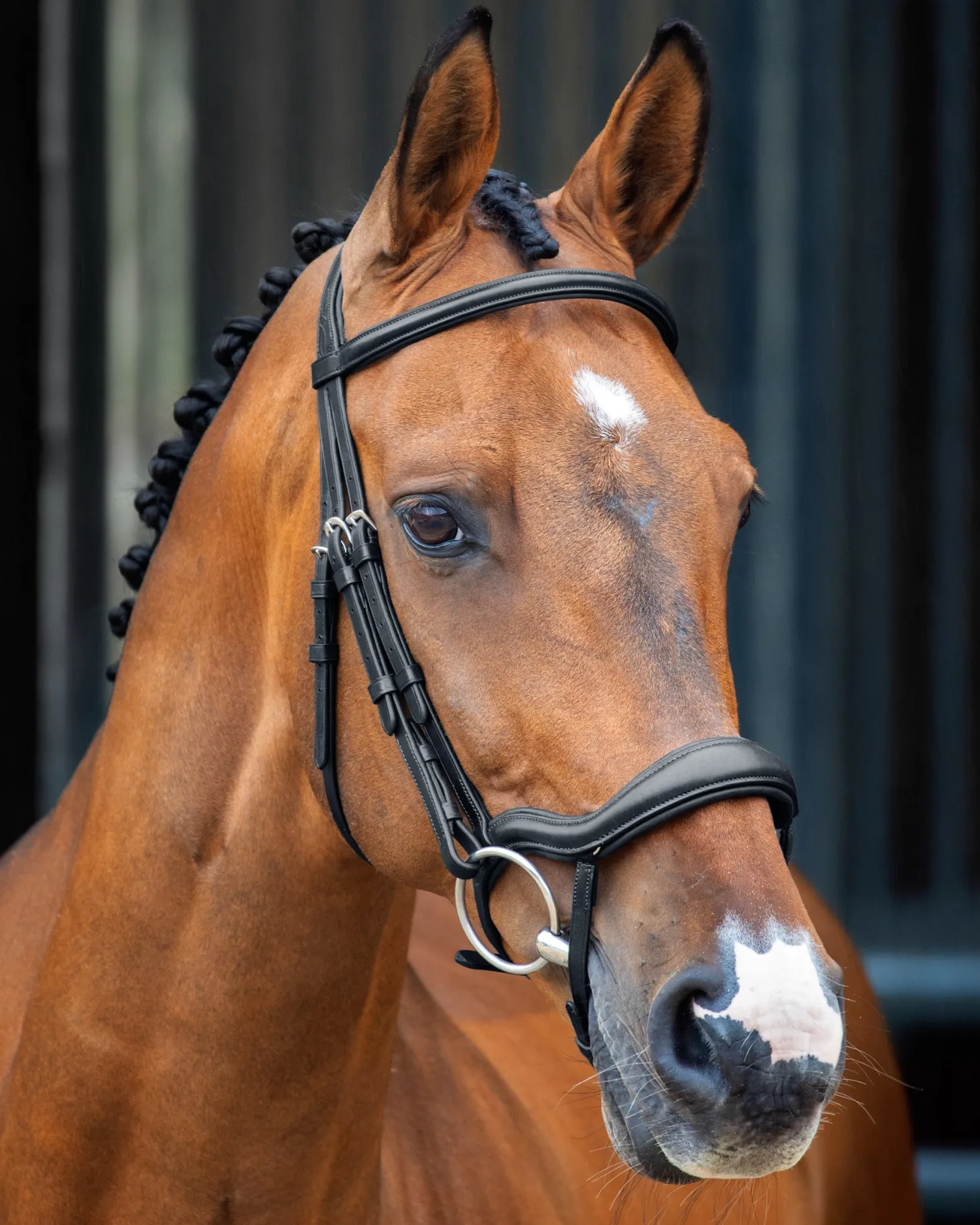 SHIRES EQUESTRIAN Velociti Lusso Ergonomic Flash Bridle Outlet