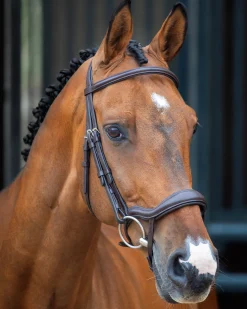 SHIRES EQUESTRIAN Velociti Lusso Ergonomic Flash Bridle Outlet
