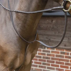 SHIRES EQUESTRIAN Velociti Lusso Standing Martingale Online