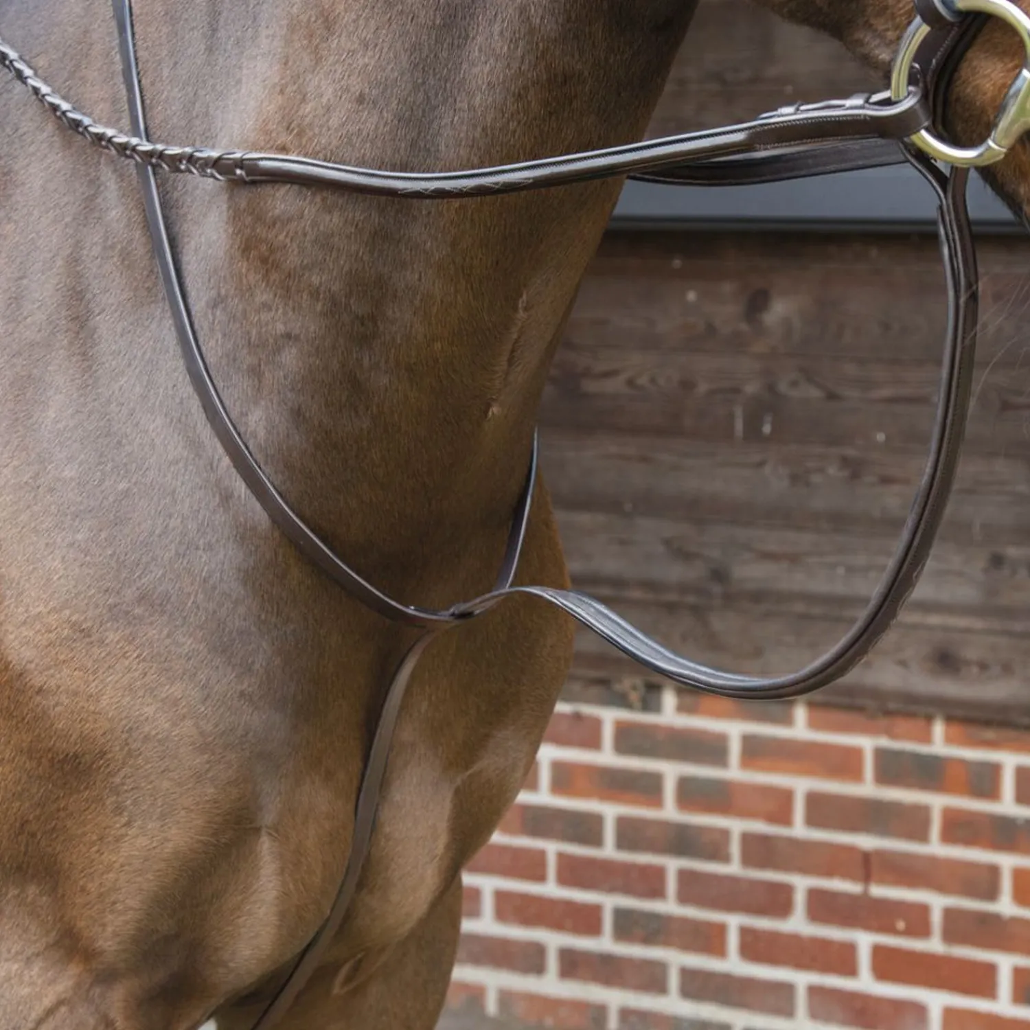 SHIRES EQUESTRIAN Velociti Lusso Standing Martingale Online