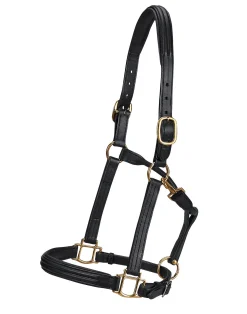 WORLD EQUSTRN BRNDS Vespucci Double Raised Halter Black Online