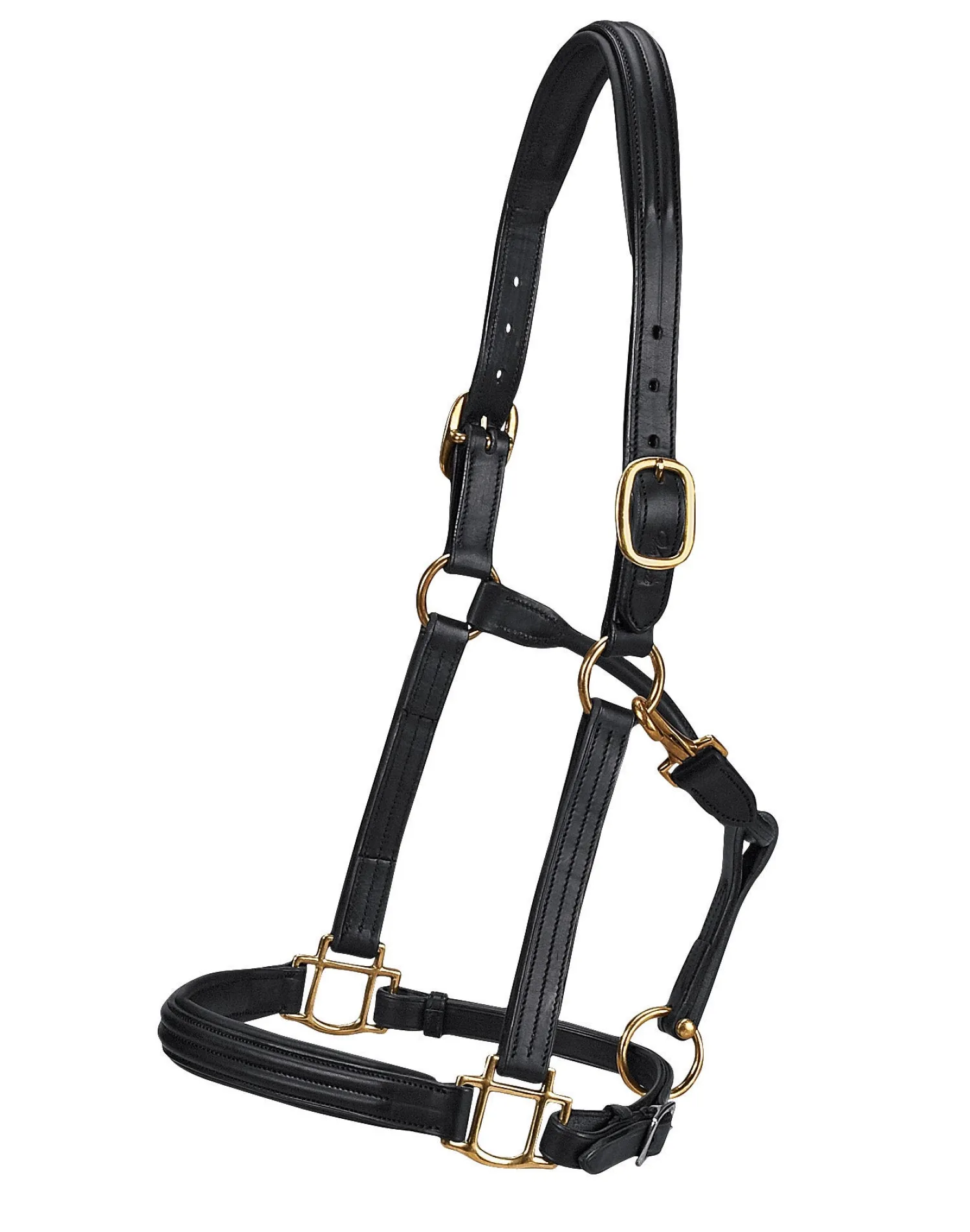 WORLD EQUSTRN BRNDS Vespucci Double Raised Halter Black Online